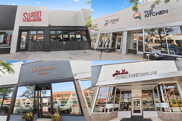 Builiding view thirty five for 1713 Pallister, Detroit, MI. 48206