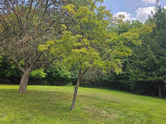 Builiding view fifty one for 1640 Hendrie, Metamora, MI. 48455