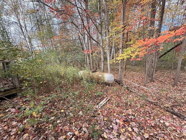 Builiding view thirteen for 543 Dennis, Ludington, MI. 49431