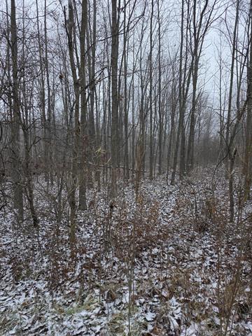 Builiding view forty eight for 849 18Th, Otsego, MI. 49078