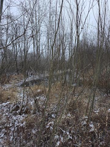 Builiding view forty nine for 849 18Th, Otsego, MI. 49078