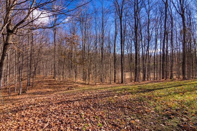 Builiding view thirty seven for 5877 Lake Five, Kalkaska, MI. 49646
