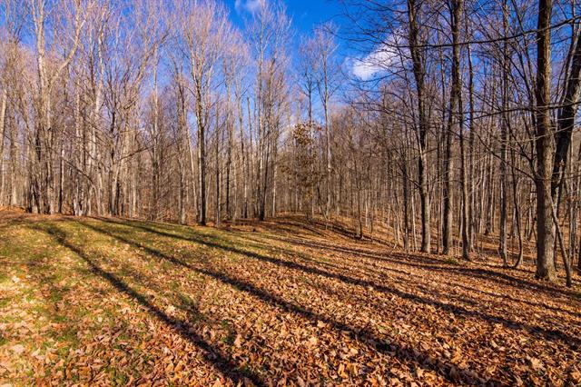 Builiding view thirty six for 5877 Lake Five, Kalkaska, MI. 49646