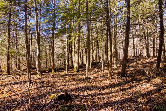 Builiding view three for 5877 Lake Five, Kalkaska, MI. 49646