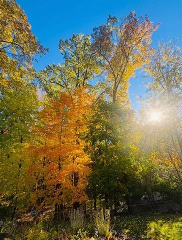 Builiding view forty four for 1154 Springwood, Grand Rapids, MI. 49508