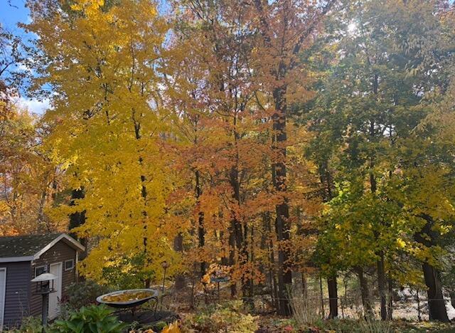 Builiding view forty three for 1154 Springwood, Grand Rapids, MI. 49508