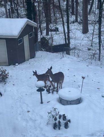 Builiding view thirty eight for 1154 Springwood, Grand Rapids, MI. 49508