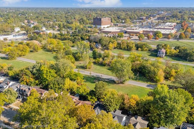 Builiding view thirty nine for 838 Algonquin St, Detroit, MI. 48215