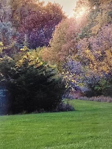 Builiding view sixty two for 1268 Maple Ln, Brooklyn, MI. 49230