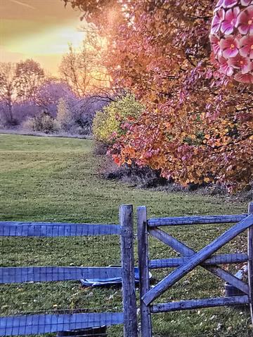 Builiding view sixty for 1268 Maple Ln, Brooklyn, MI. 49230