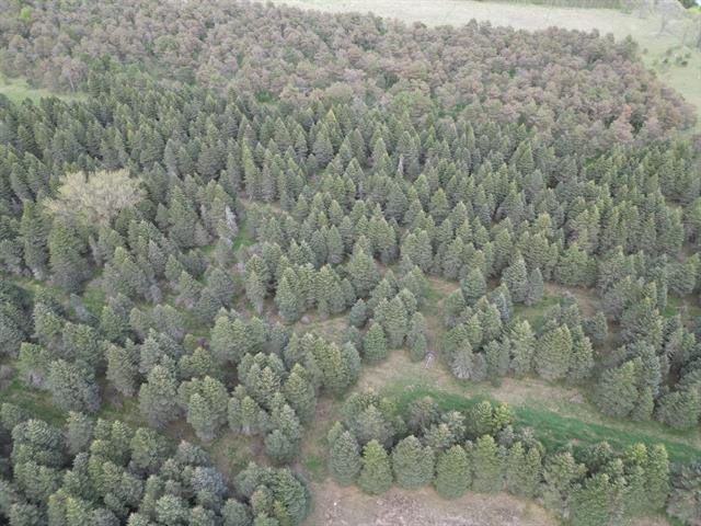 Builiding view twenty seven for 20803 Grandville Road, Big Rapids, MI. 49307