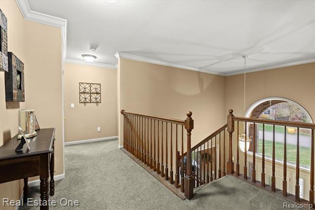 Builiding view twenty one for 539 Olivia, Milford, MI. 48381