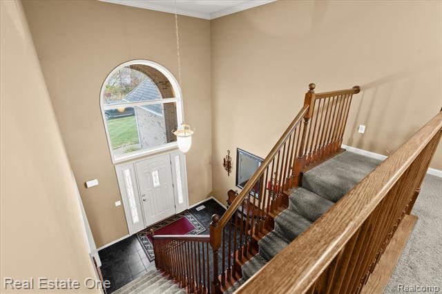 Builiding view twenty for 539 Olivia, Milford, MI. 48381