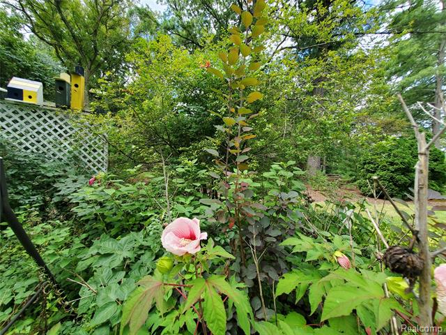 Builiding view forty one for 8276 Appleway, Grand Blanc, MI. 48439