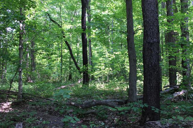 Builiding view eight for 3156 Co Road 612 Ne, Kalkaska, MI. 49646