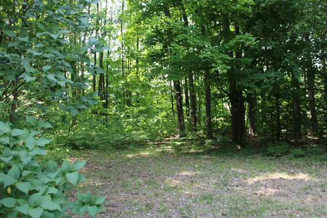 Builiding view eleven for 3156 Co Road 612 Ne, Kalkaska, MI. 49646