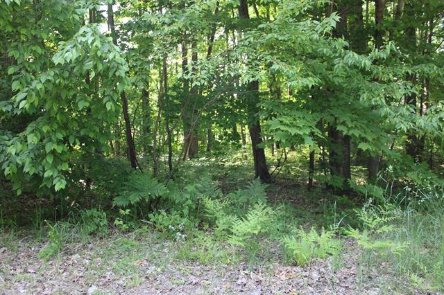 Builiding view five for 3156 Co Road 612 Ne, Kalkaska, MI. 49646