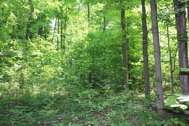 Builiding view thirteen for 3156 Co Road 612 Ne, Kalkaska, MI. 49646