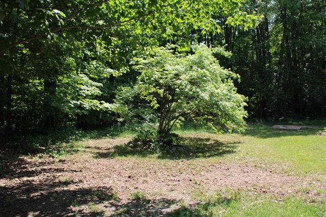 Builiding view three for 3156 Co Road 612 Ne, Kalkaska, MI. 49646