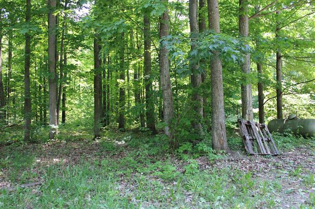 Builiding view twelve for 3156 Co Road 612 Ne, Kalkaska, MI. 49646