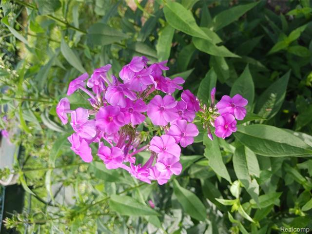 Builiding view eleven for 160 Chippewa, Pontiac, MI. 48341