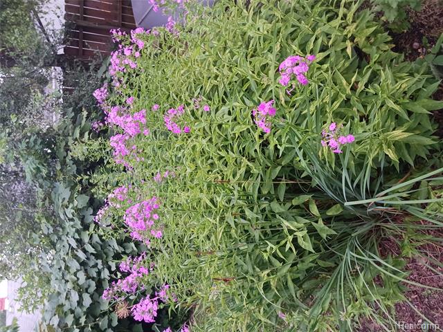 Builiding view fifteen for 160 Chippewa, Pontiac, MI. 48341