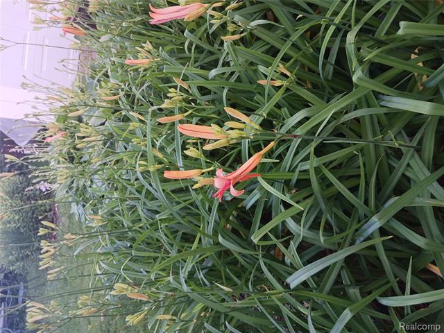 Builiding view forty one for 160 Chippewa, Pontiac, MI. 48341