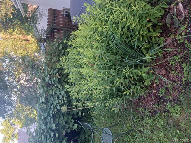 Builiding view forty two for 160 Chippewa, Pontiac, MI. 48341