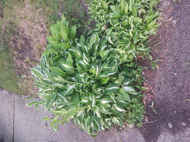 Builiding view thirty eight for 160 Chippewa, Pontiac, MI. 48341