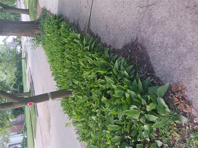 Builiding view thirty nine for 160 Chippewa, Pontiac, MI. 48341