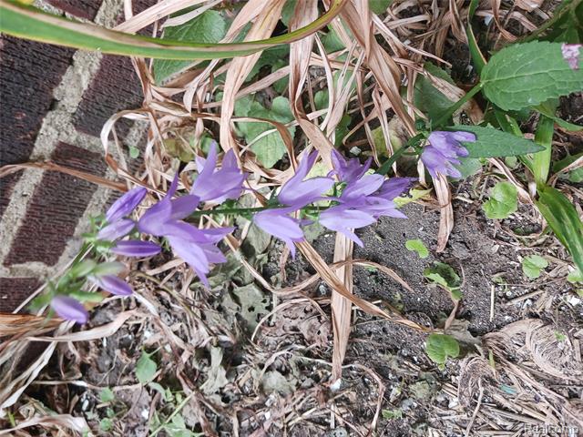 Builiding view twelve for 160 Chippewa, Pontiac, MI. 48341