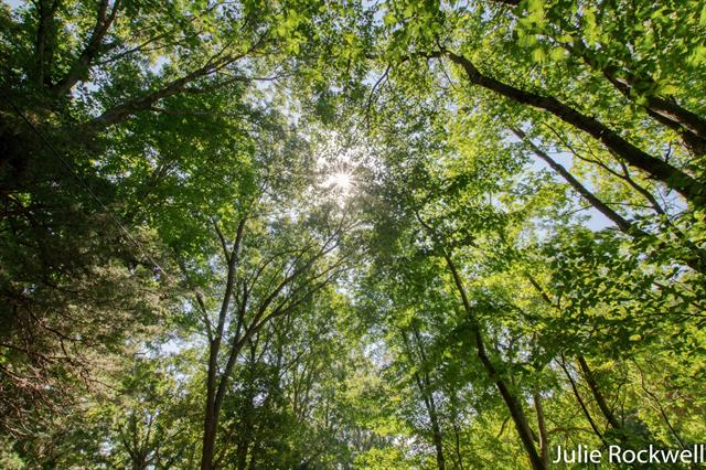 Builiding view twenty four for 3727 Buttrick, Ada, MI. 49301