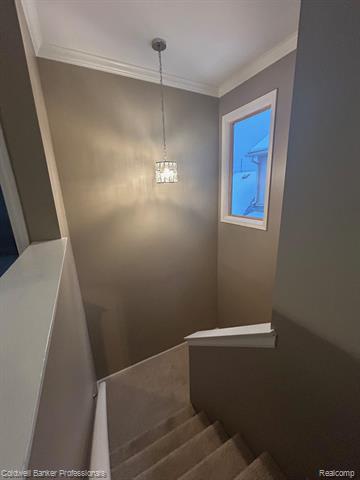 Builiding view eleven for 4896 Royal Cove, Shelby Township, MI. 48316