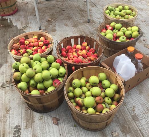 Builiding view thirty for 3905 Lakeshore, Lexington, MI. 48450