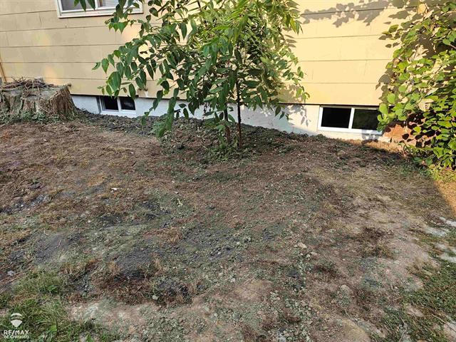 Builiding view fifteen for 209 Stewart, Owosso, MI. 48867