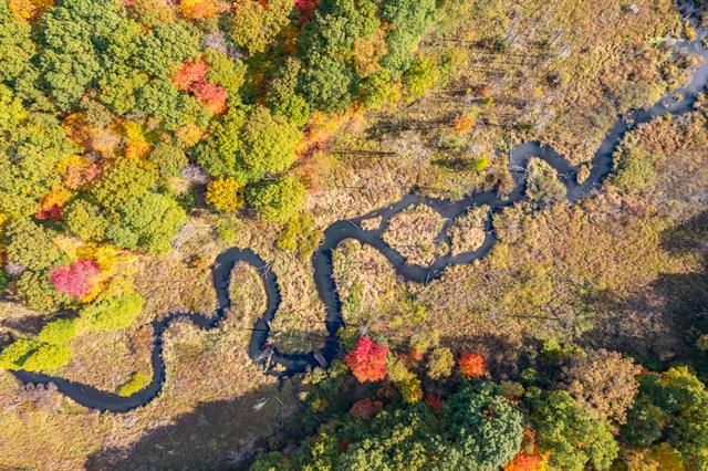 Builiding view seventy two for 22100 Uldriks, Battle Creek, MI. 49017