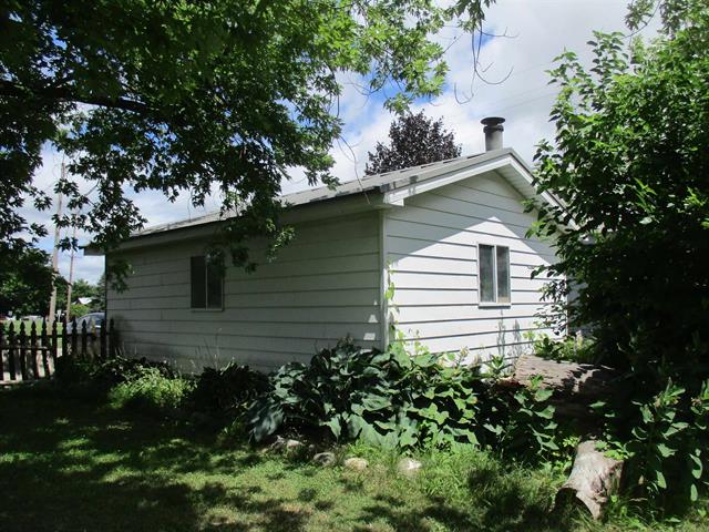 Builiding view twenty six for 523 Union, Saint Louis, MI. 48880