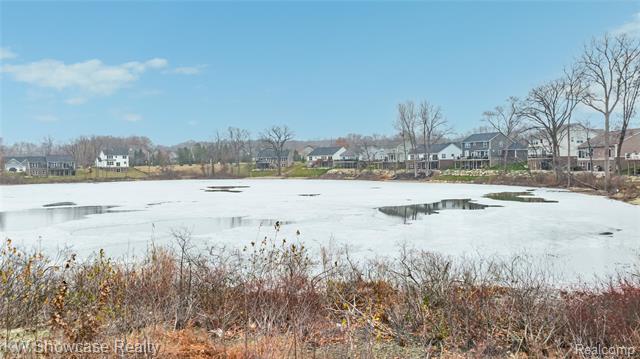Builiding view fifty for 915 Preserve, White Lake, MI. 48386