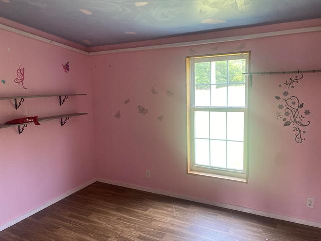 Builiding view twenty six for 1113 Euclid, Alma, MI. 48801