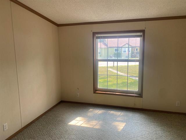 Builiding view twenty two for 1113 Euclid, Alma, MI. 48801