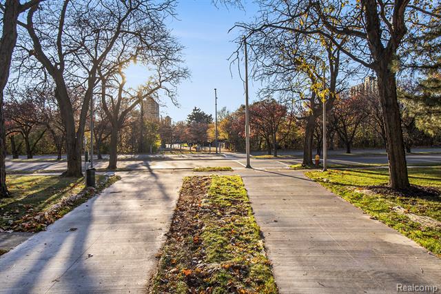 Builiding view twenty eight for 1226 Saint Aubin Place, Detroit, MI. 48207