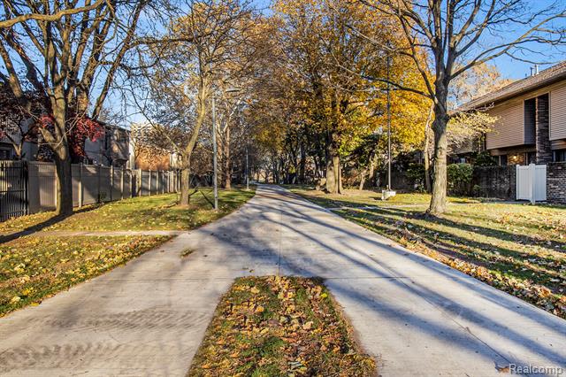 Builiding view two for 1226 Saint Aubin Place, Detroit, MI. 48207