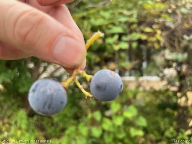 Builiding view twenty eight for 3972 Chevron, Highland, MI. 48356