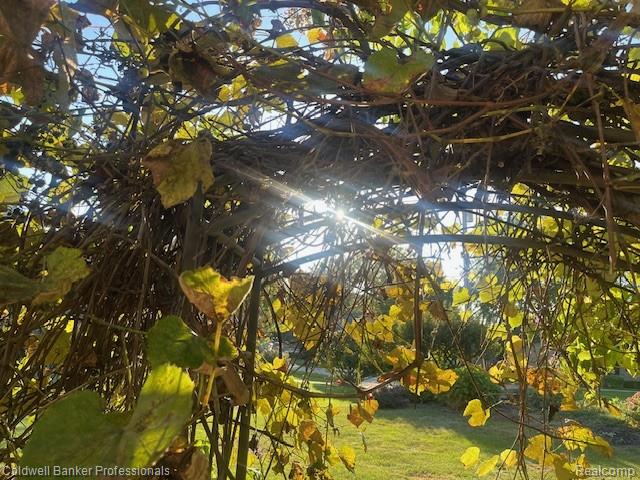 Builiding view twenty seven for 3972 Chevron, Highland, MI. 48356