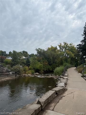 Builiding view forty two for 334 Romeo, Rochester, MI. 48307