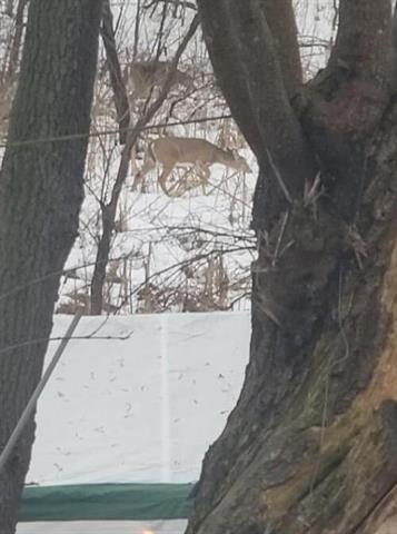 Builiding view thirty eight for 2348 Segwun, Lowell, MI. 49331