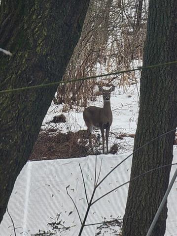 Builiding view thirty seven for 2348 Segwun, Lowell, MI. 49331