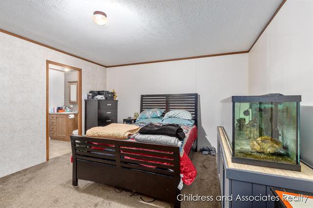 Builiding view nine for 12811 Charles, Wayland, MI. 49348