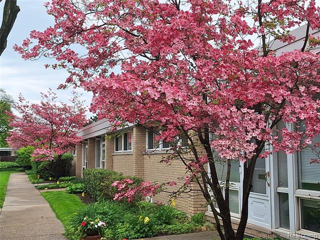 Builiding view one for 1512 Chateaufort, Detroit, MI. 48207