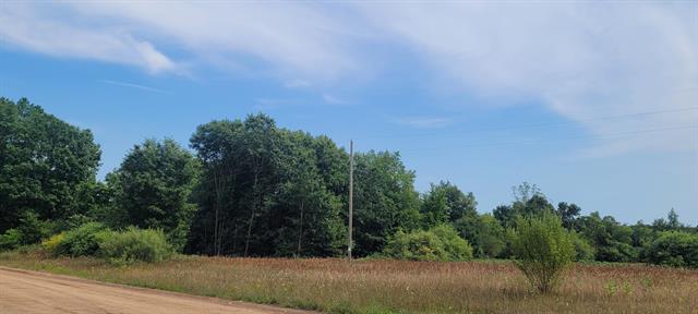 Builiding view seventy for 8716 80Th, Pentwater, MI. 49449